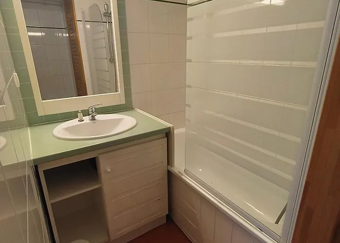 Cocon Aux Pieds Des Pistes * La Mongie